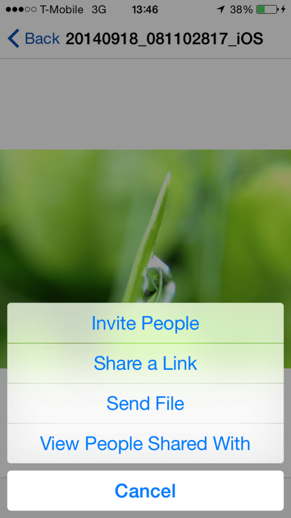 OneDrive - Invite People