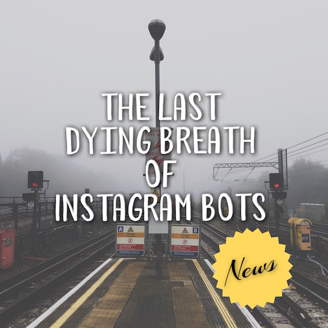 The Death of Instagram Bots