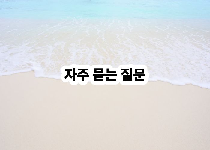 자주 묻는 질문